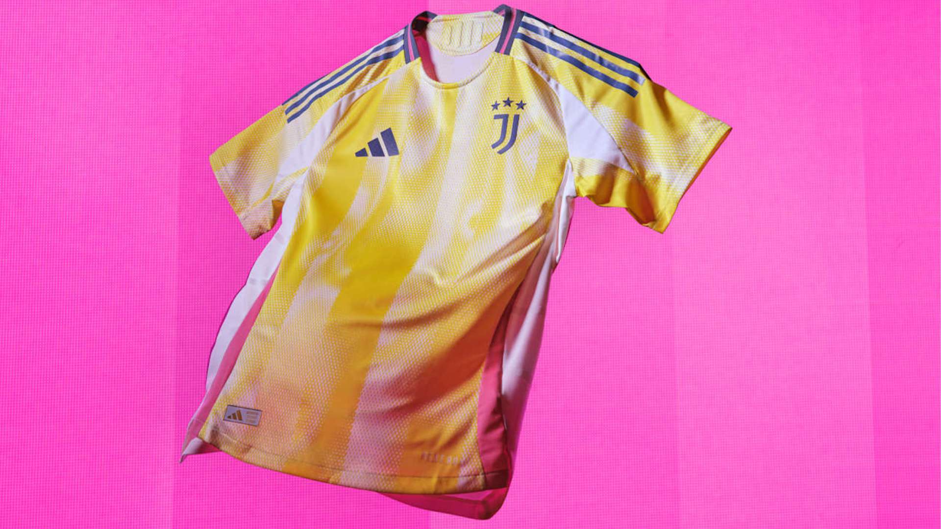 在教练的悉 在教练的悉