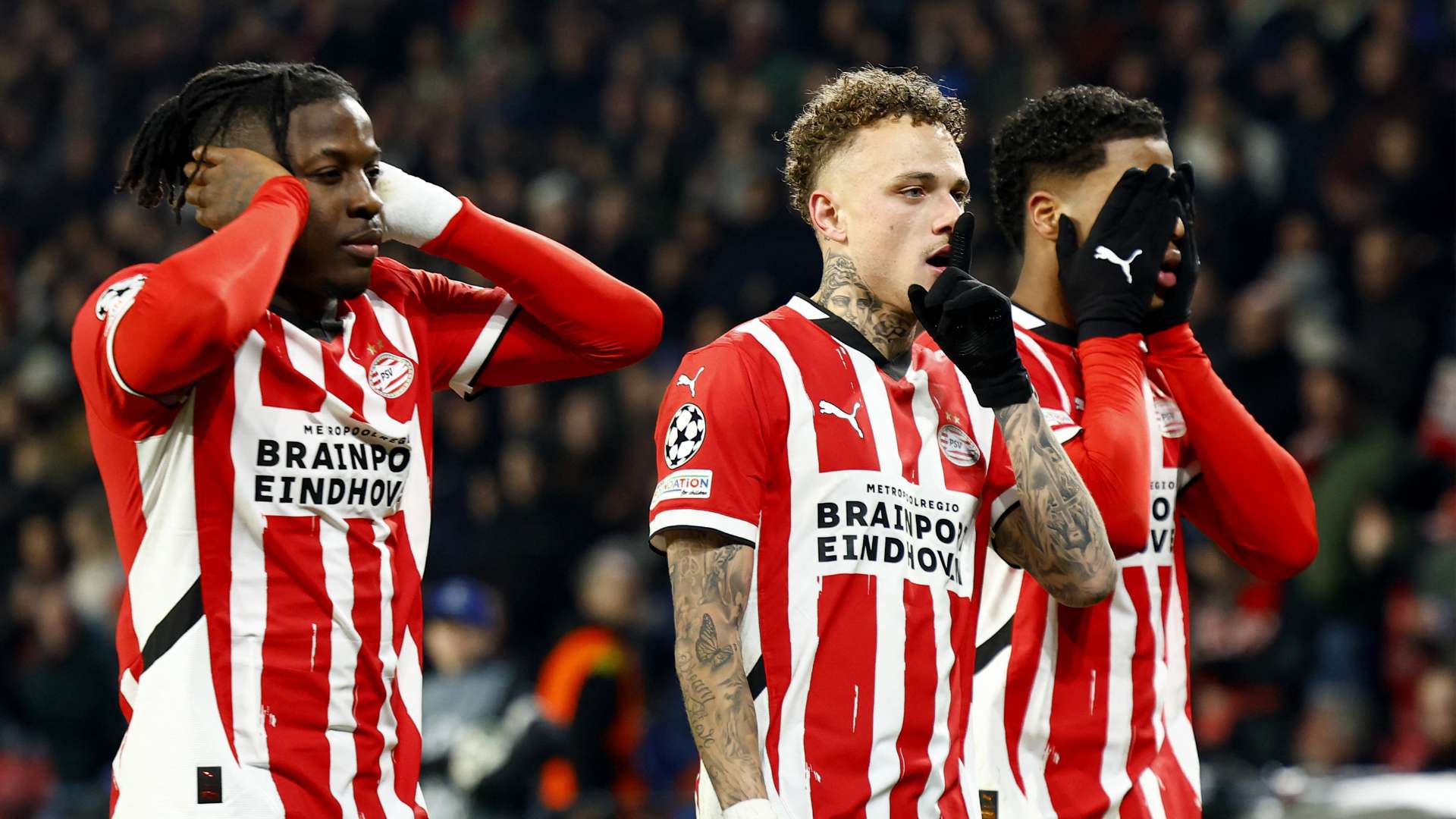 理解前锋的 理解前锋的