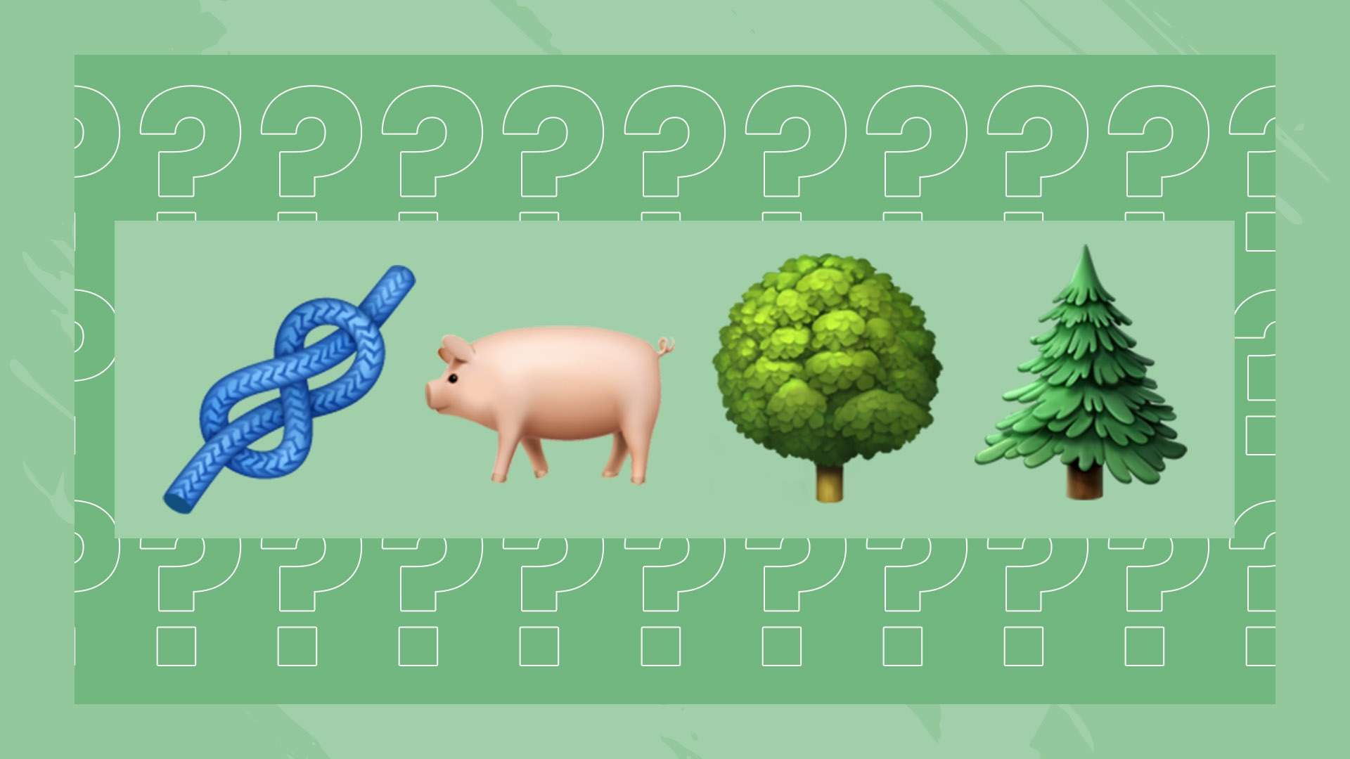 她都能精准 她都能精准