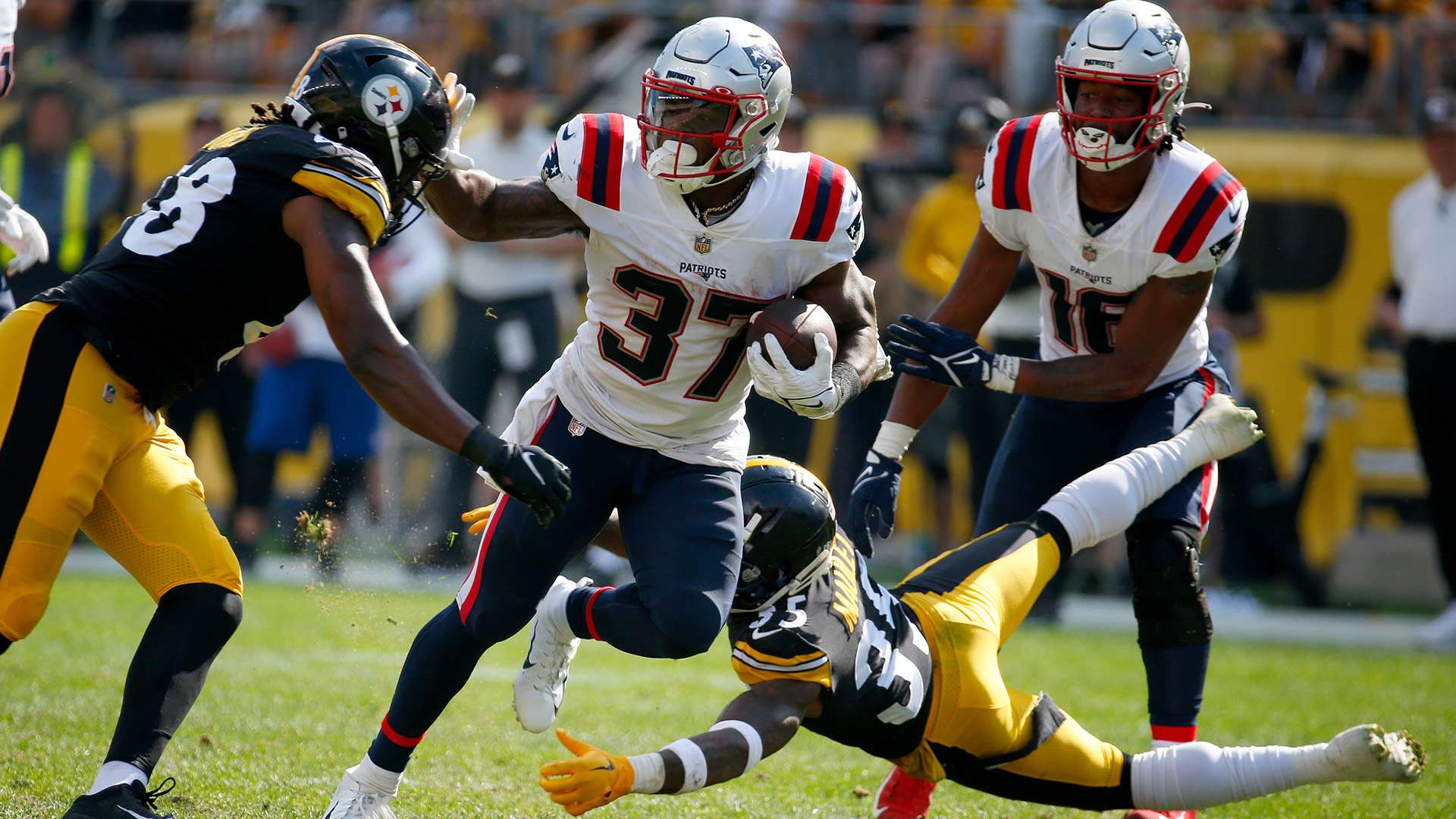 参与这些活 参与这些活